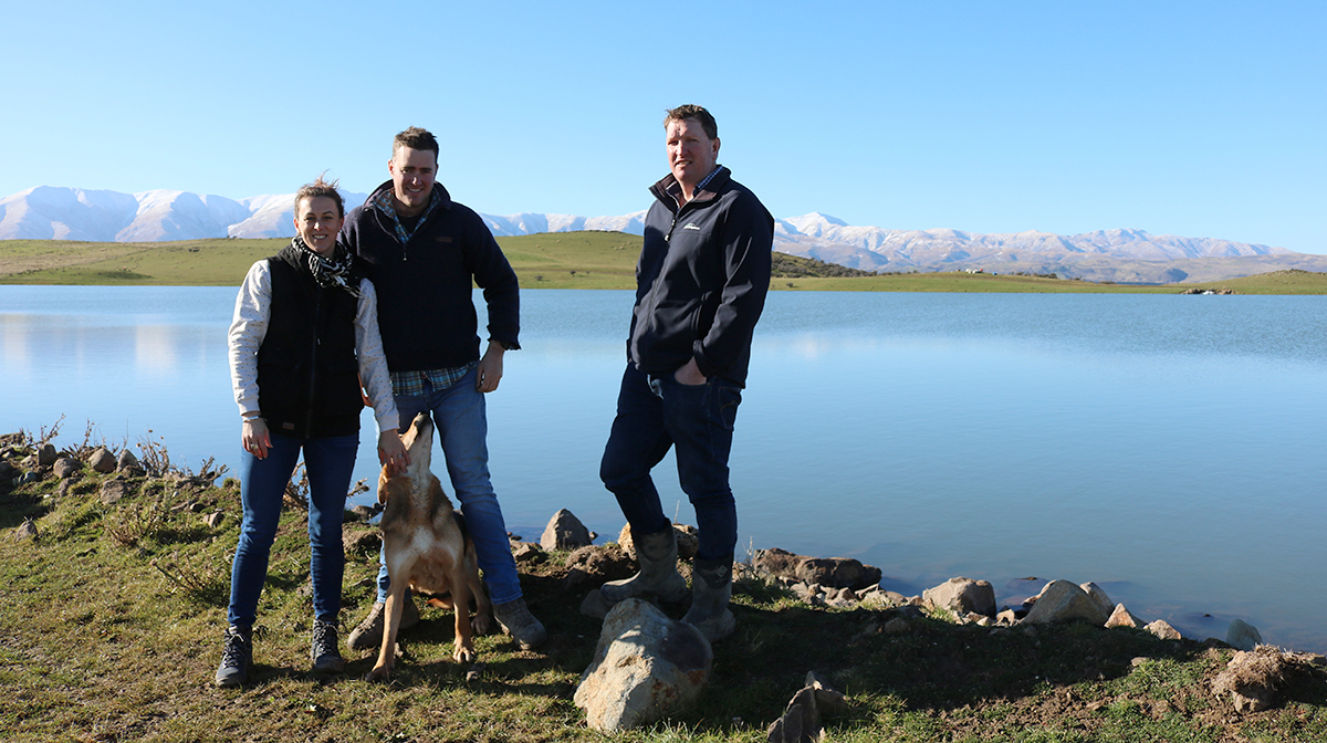 Surety of water supply provides opportunities for Creekside Farms | PGG  Wrightson