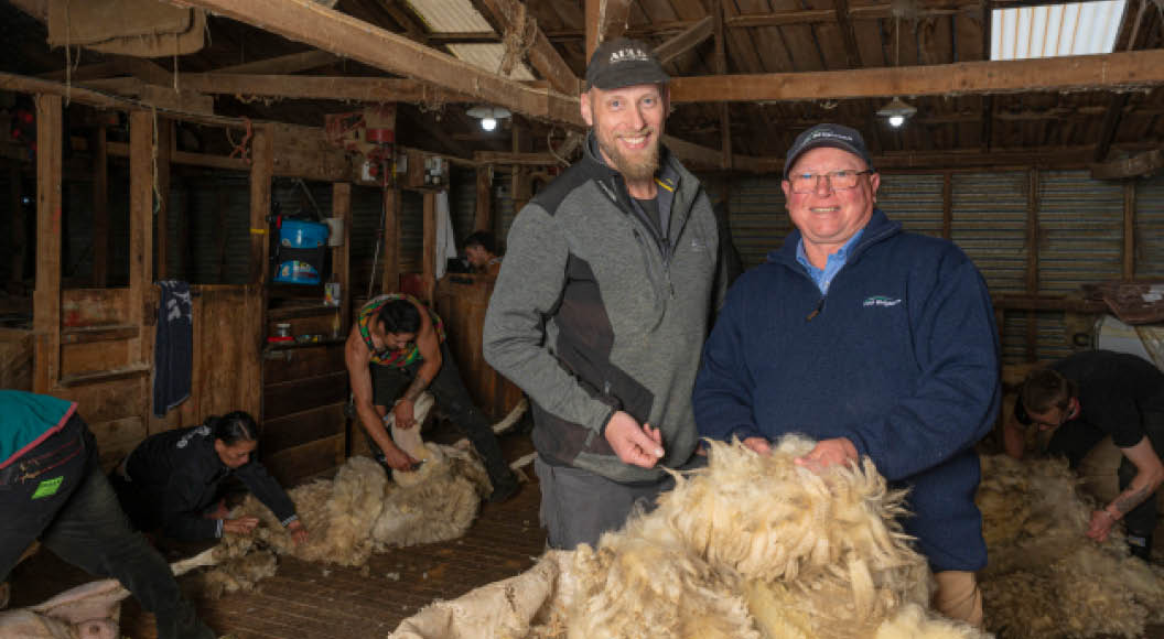 Wool Street Journal Innovative new direction provides compelling