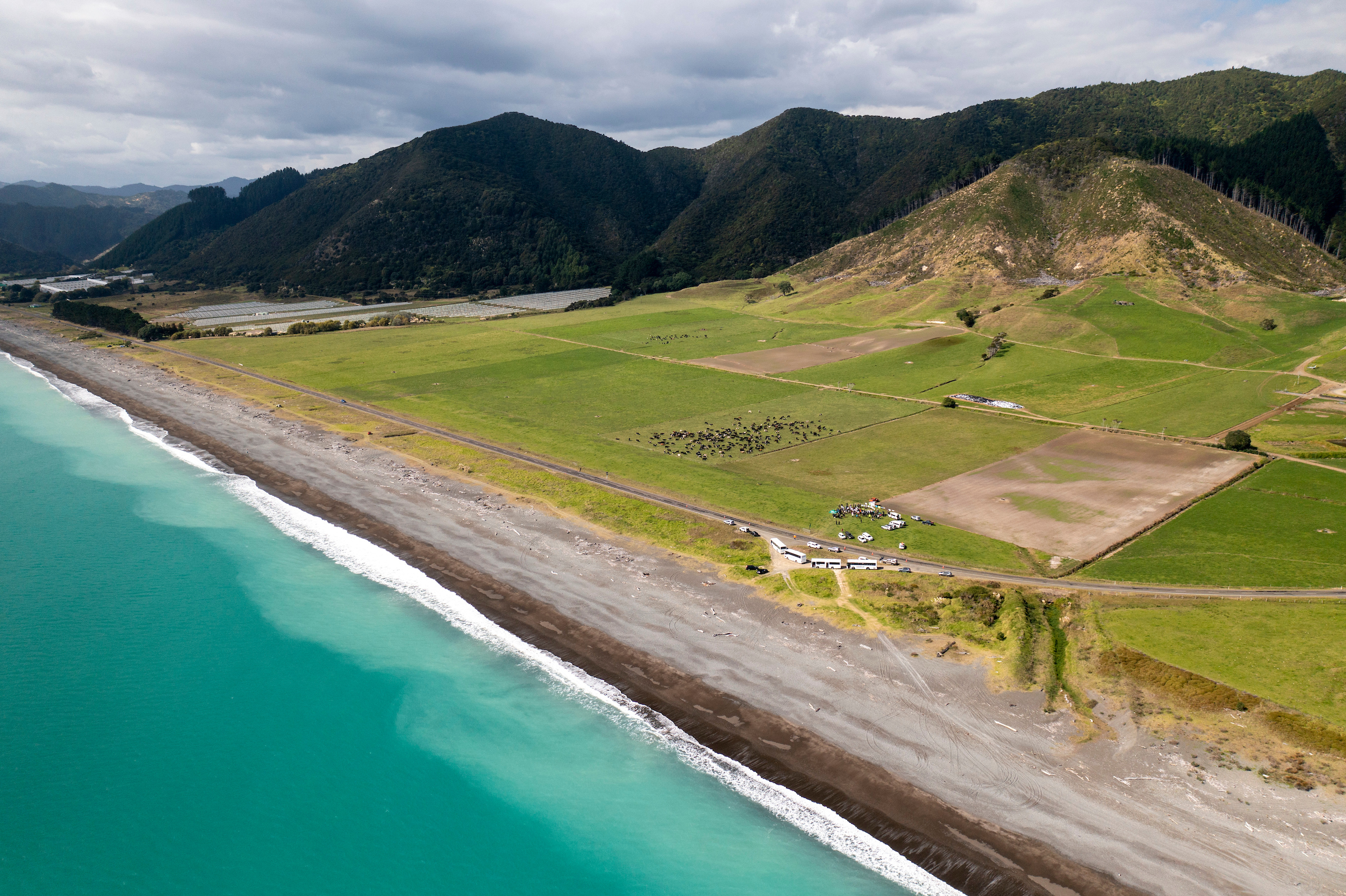 PGG Wrightson Ahuwhenua