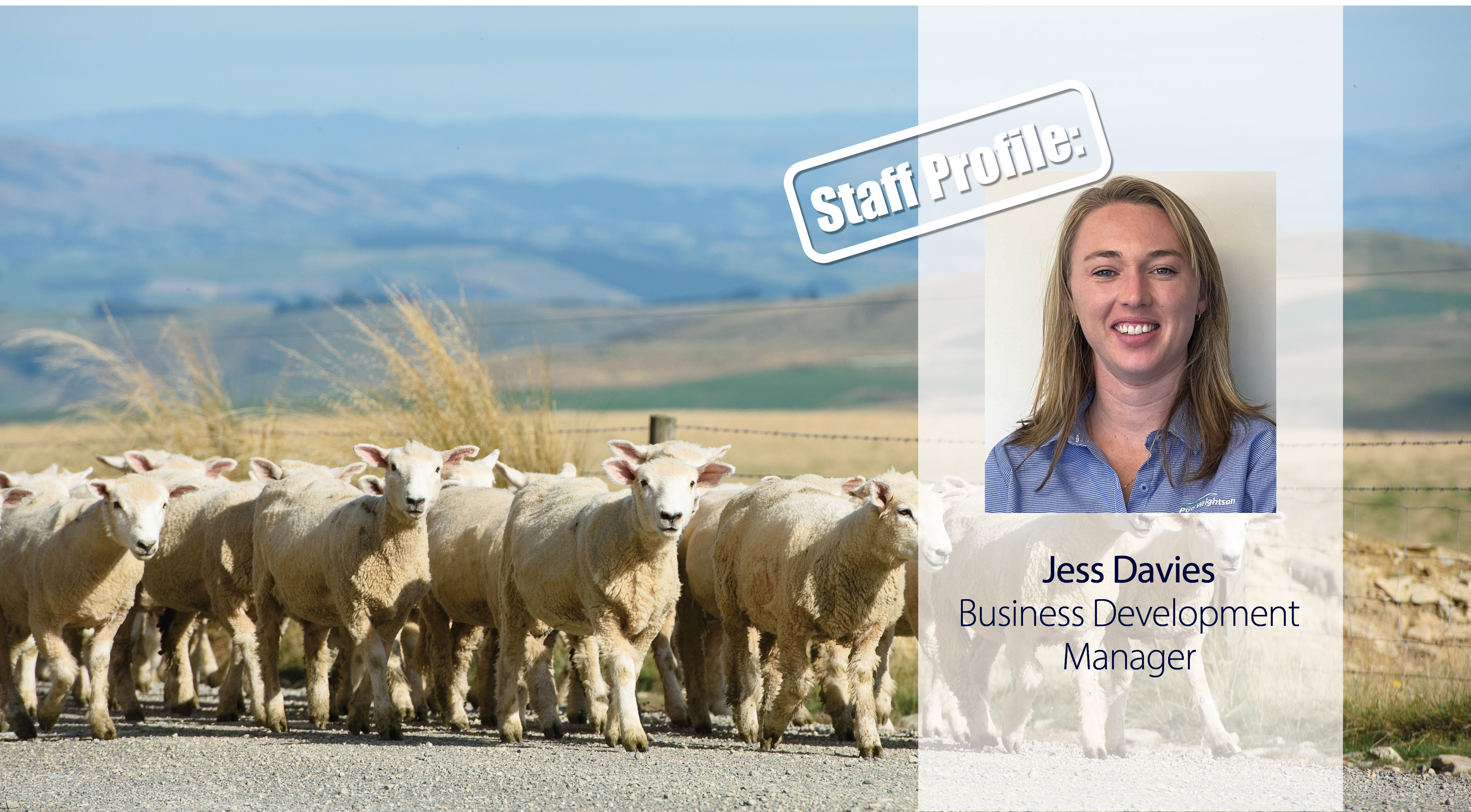 Staff profile – Jess Davies | PGG Wrightson
