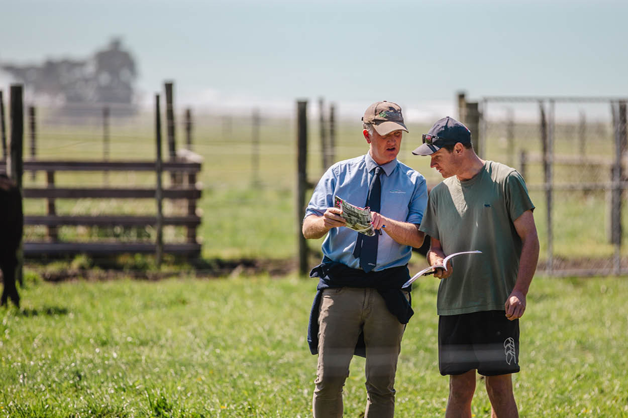 PGG Wrightson Genetics Specialist talks to a client in a paddock.