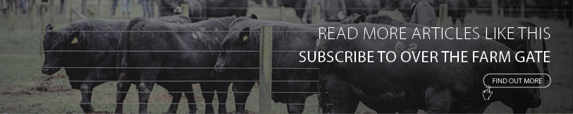 email sign up