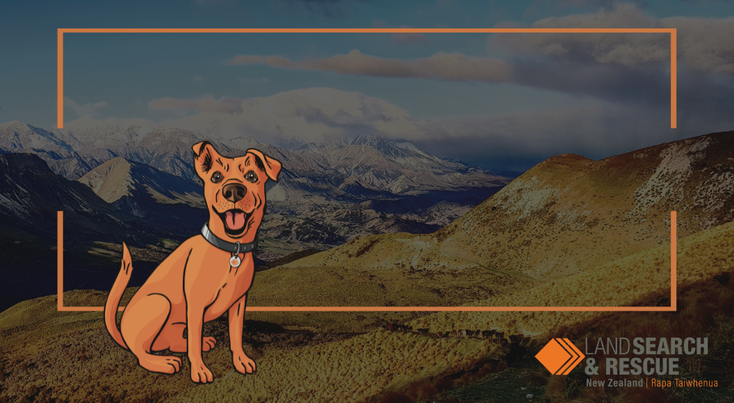 Find Seek and Celebrate 92 Years of Land Search and Rescue | PGG Wrightson