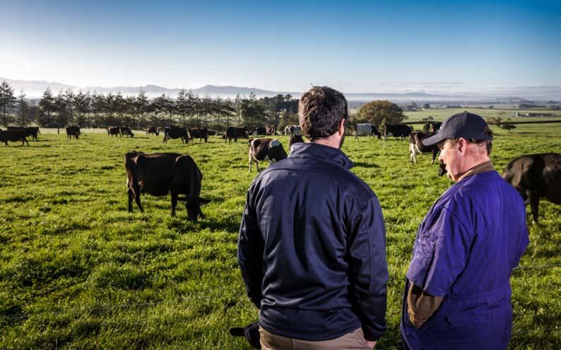 Livestock rep with customer in paddock