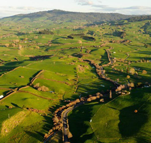 rural landscape