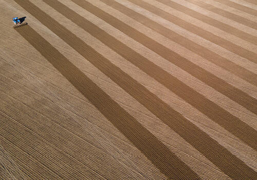A harvester mowing straight lines in a field