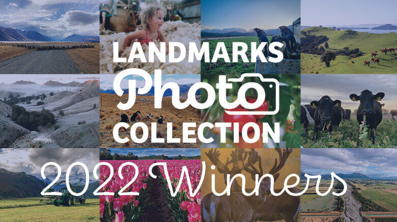Landmarks Photo Collection Winners