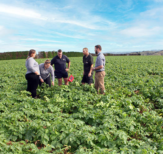 Staff standing in a field undertaking training