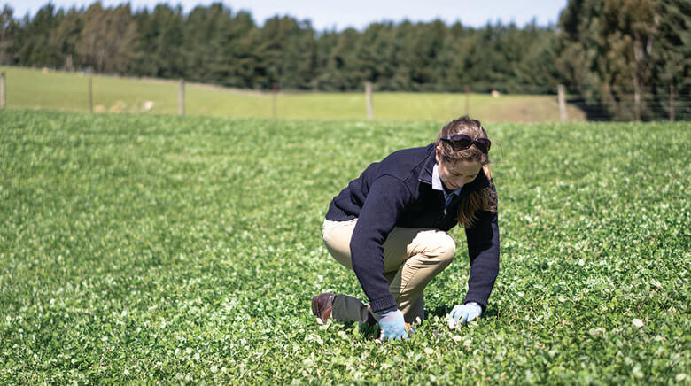 Research in the field