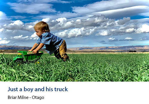 A very young boy pushing a toy truck in a field