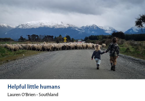 Two chidren holdng hands walking down a road with sheep in the background