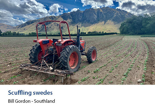A tracktor sowing a field