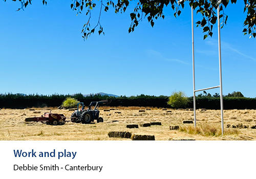 A rugby field full of hay bales