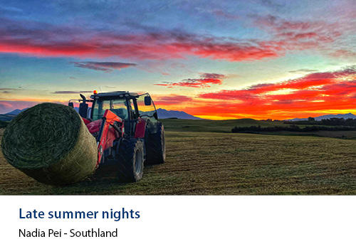 A tractor with a haybale with a red sunset in the background