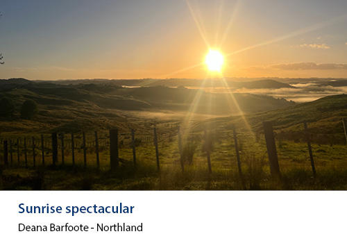 An early morning sunrise over farmland