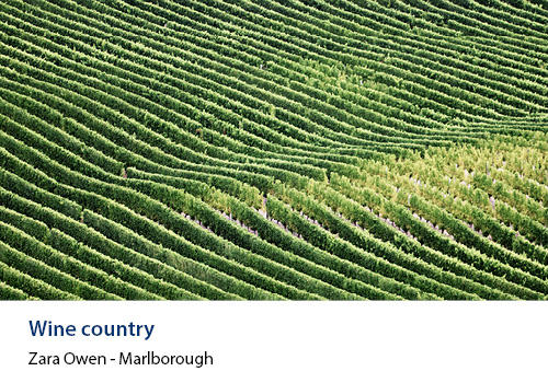 Clean lines of crops winding over a rolling hill