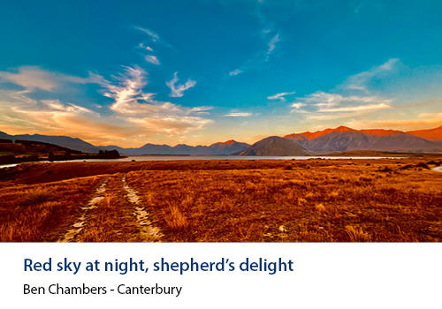 A sunset with golden and blue sky and golden farmland