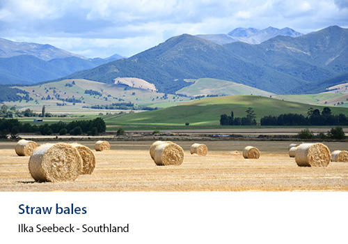 Hay bales in a field with mountains in the background