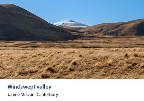 Brown fields and hills with snowcapped mountains in the background