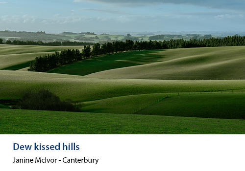 Rolling green hills with dew