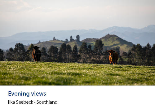 Farmland with cattle