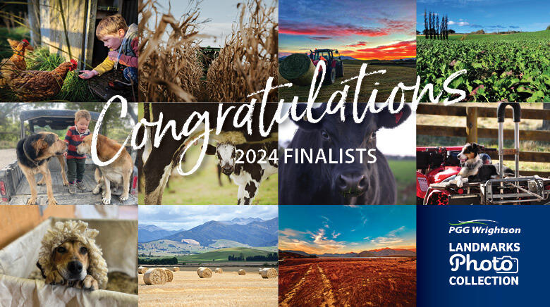 Congratulations to the finalists in the LandMarks Photo Collection