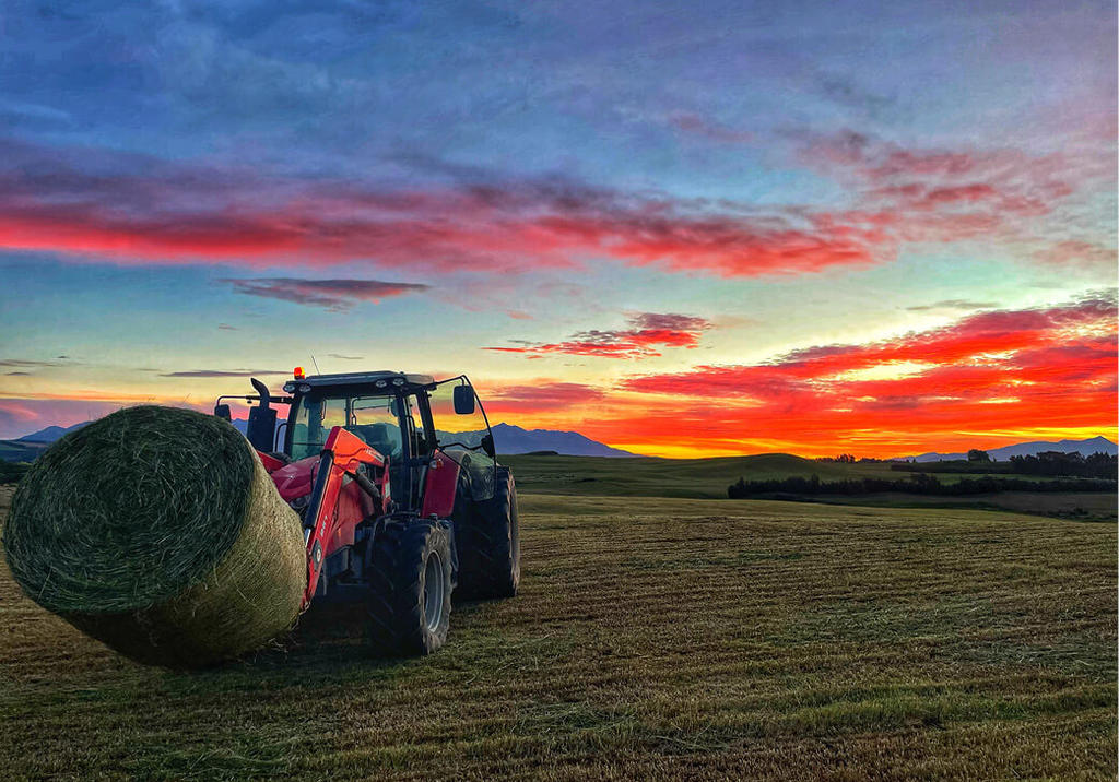 a baling tractor picks up its last bale of silage while a red sunset lights up the sky in the background