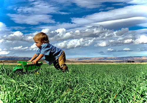 a young boy pushes a toy tractor in a green field with blue sky and white clouds in the background