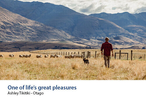 a farmer with his dog, a mountain range is in the background.