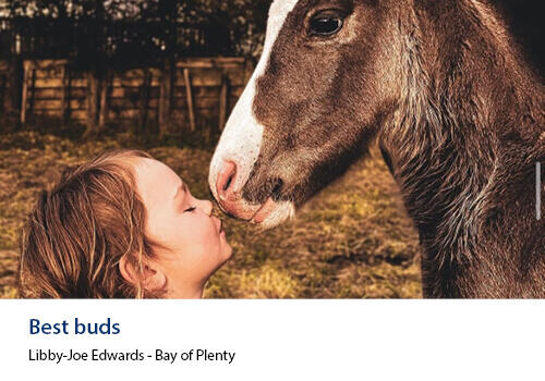 A young girl gently touching noses with a brown horse in a warm, golden field setting. Caption: “Best buds” – Libby-Joe Edwards, Bay of Plenty.