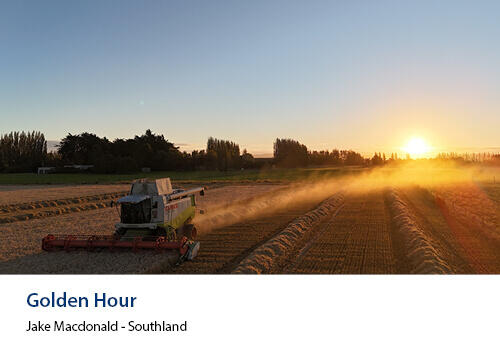 A combine harvester working a grain field at sunset, with golden light casting long shadows. Caption: “Golden Hour” – Jake Macdonald, Southland.