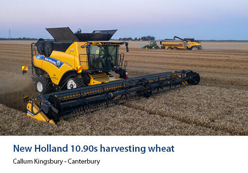 Two New Holland 10.90 combine harvesters working side-by-side in a golden wheat field during evening light. Caption: Callum Kingsbury, Canterbury.