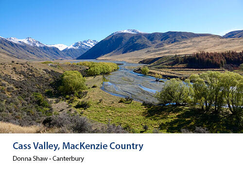 A winding river flows through a wide alpine valley with bright green trees and snowy peaks in the distance. Caption: Donna Shaw, Canterbury.