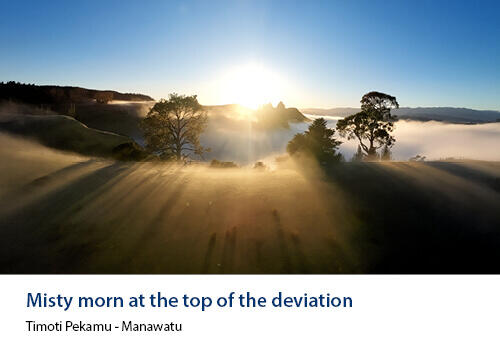Long shadows stretch across a misty Manawatu landscape as the early morning sun rises behind silhouetted trees. Caption: Timoti Pekamu, Manawatu.