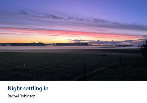 A pastel-toned sunset fades over a darkened field with thin fog forming above the grass. Caption: Rachel Robinson.