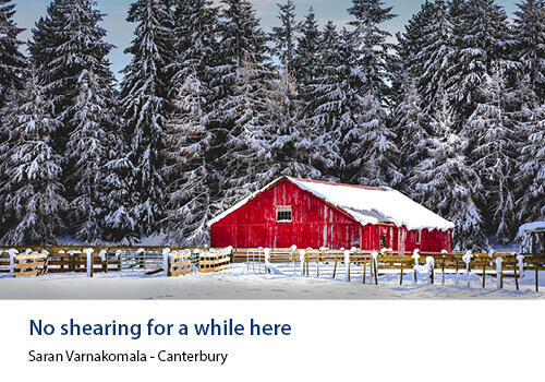 A red woolshed sits blanketed in snow beside frosted trees, underlining the wintery conditions. Caption: Saran Varnakomala, Canterbury.