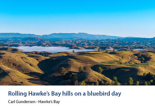 Sunlit rolling hills in Hawke’s Bay under a clear blue sky, with low-lying clouds nestled between ridges. Caption: Carl Gundersen, Hawke’s Bay.