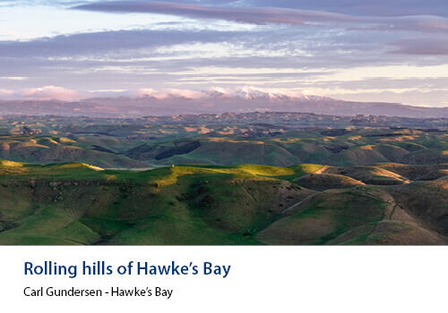 A soft light falls across undulating green and brown hills, with distant mountains under a pastel sky. Caption: Carl Gundersen, Hawke’s Bay.