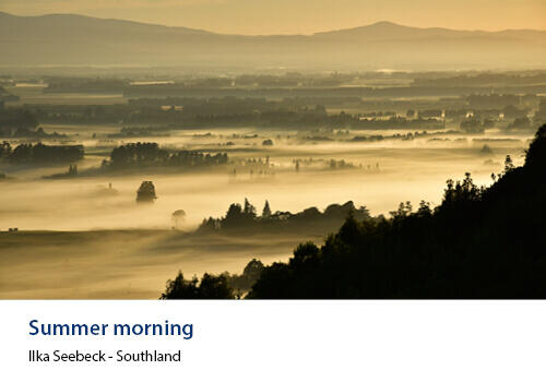 Early morning mist settles across a golden rural Southland valley, silhouetting trees in hazy sunlight. Caption: Ilka Seebeck, Southland.