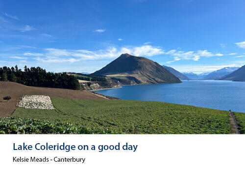 A pristine lake framed by green farmland and rugged hills under a bright blue sky. Caption: Kelsie Meads, Canterbury.