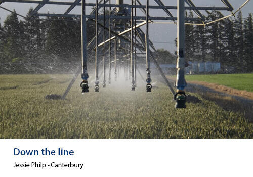 An irrigation system with vertical pipes spraying a field