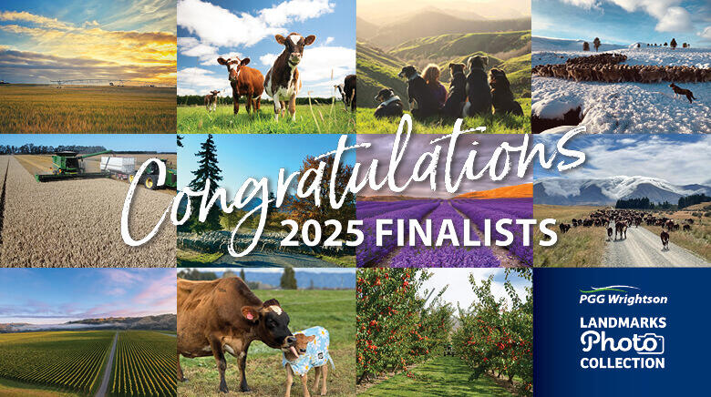 A montage of finalists images