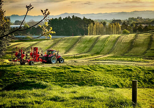 A combine harvester working a grain field at sunset, with golden light casting long shadows. Caption: “Golden Hour” – Jake Macdonald, Southland.