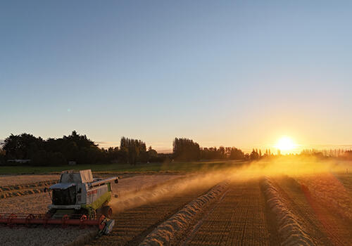 Golden Hour harvest (Southland)  A combine harvester working a grain field at sunset, with golden light casting long shadows. Caption: “Golden Hour” – Jake Macdonald, Southland.