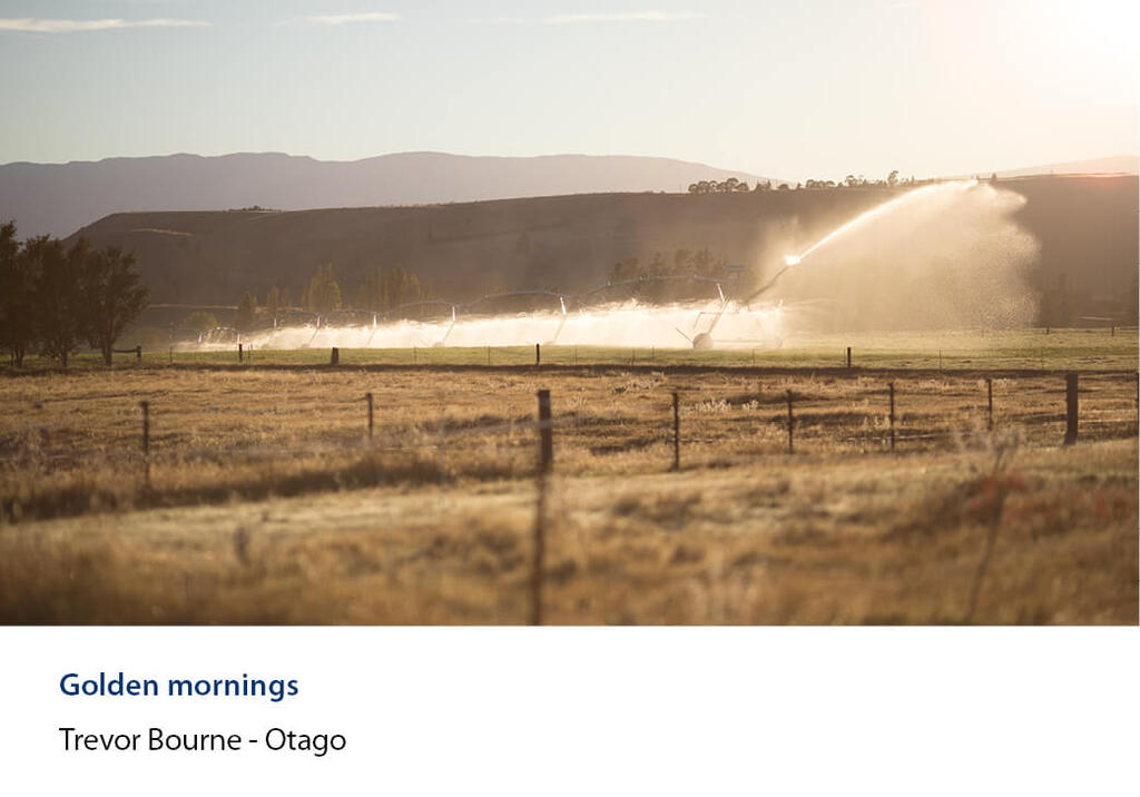 Irrigator spraying across a dry paddock in golden morning light.
