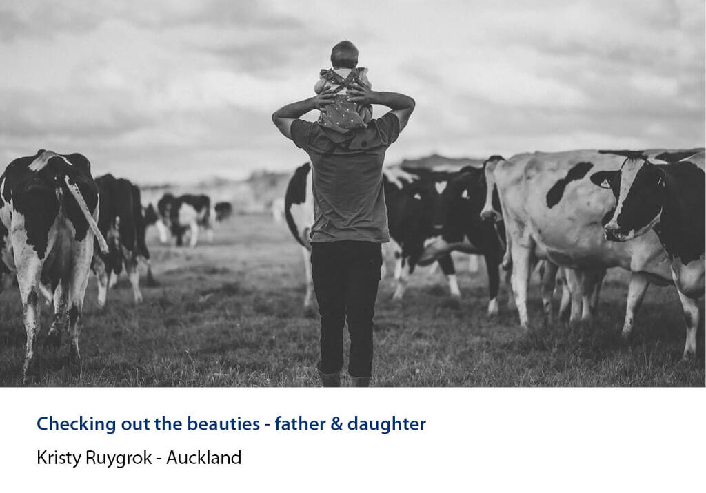 Monochrome shot of a farmer carrying a baby on his shoulders among dairy cows.