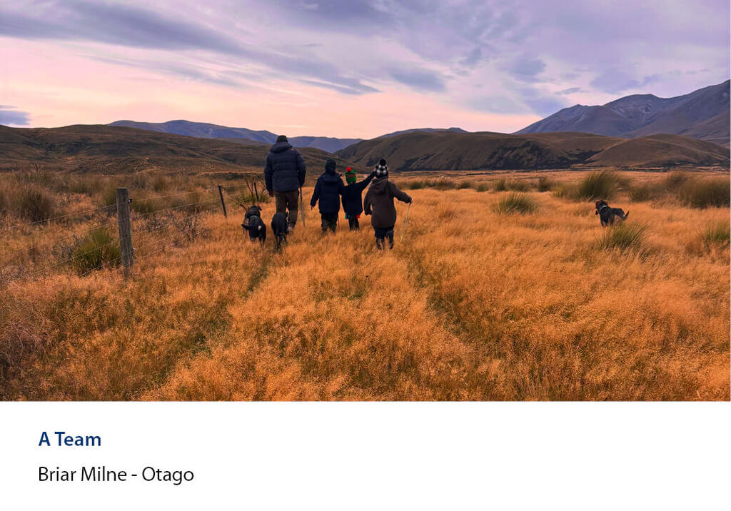 Family and three dogs walking through golden tussock towards hills at dusk.