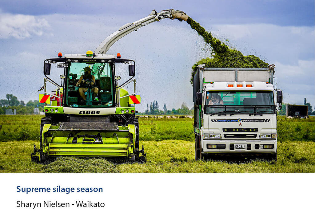 Silage harvester loading grass into a truck alongside.