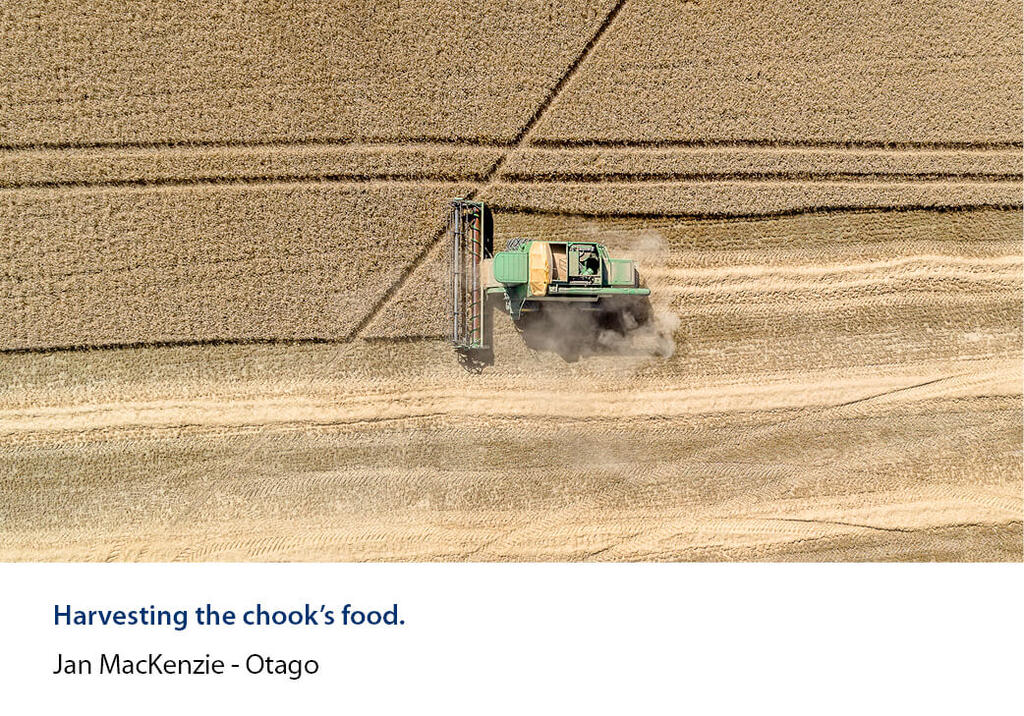 Aerial view of a combine cutting lines through a grain paddock.