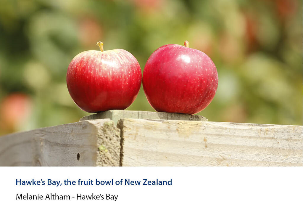 Two red apples sitting on a timber rail with the orchard blurred behind.